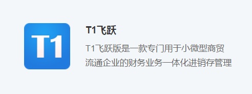 友加T1飞跃 友加T1飞跃